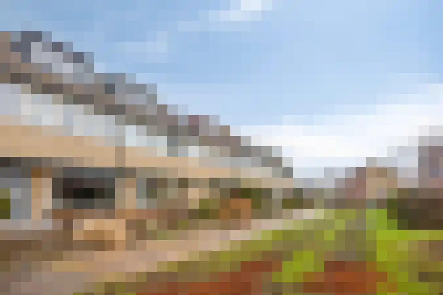 Weegbree 75 Krimpen aan den IJssel thumbnail 30