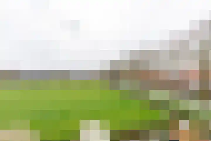 Weegbree 79 IJsselstein thumbnail 37