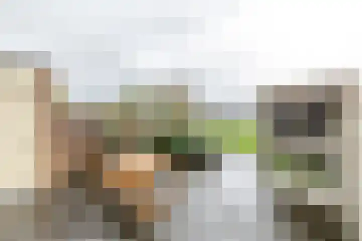 Weegbree 79 IJsselstein thumbnail 39