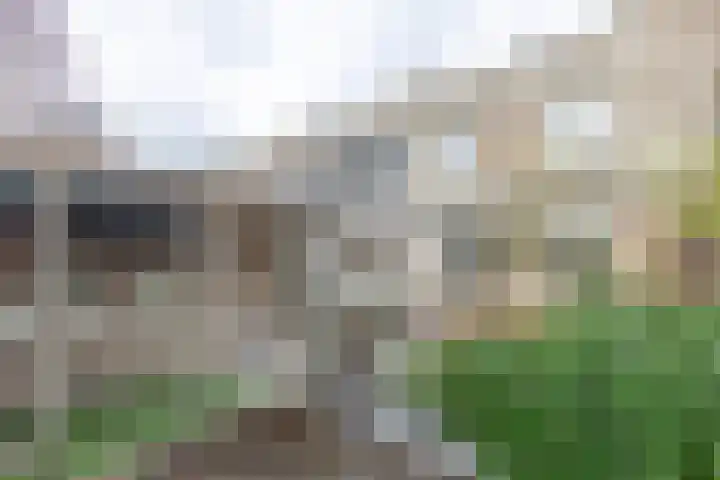Weegbree 79 IJsselstein thumbnail 41