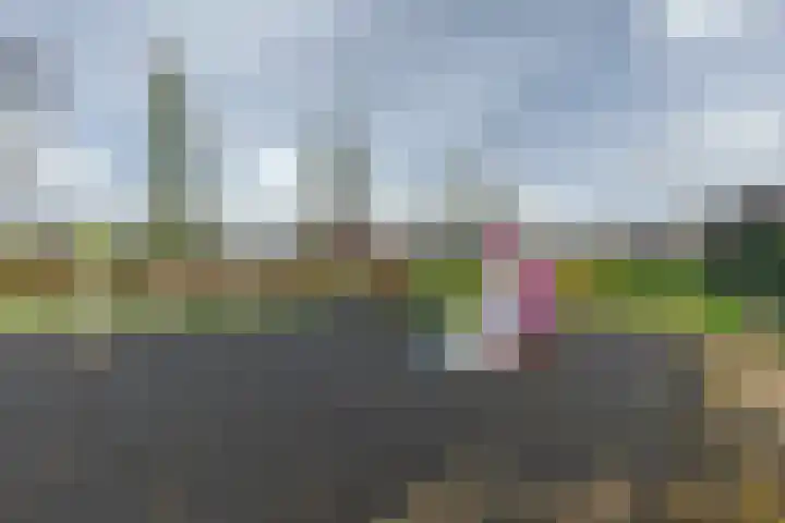 Weegbree 79 IJsselstein thumbnail 47