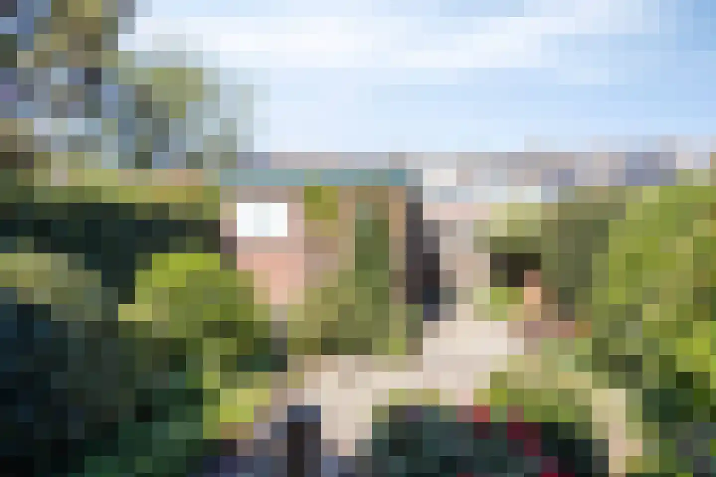 Weegbree 79 Krimpen aan den IJssel foto 3