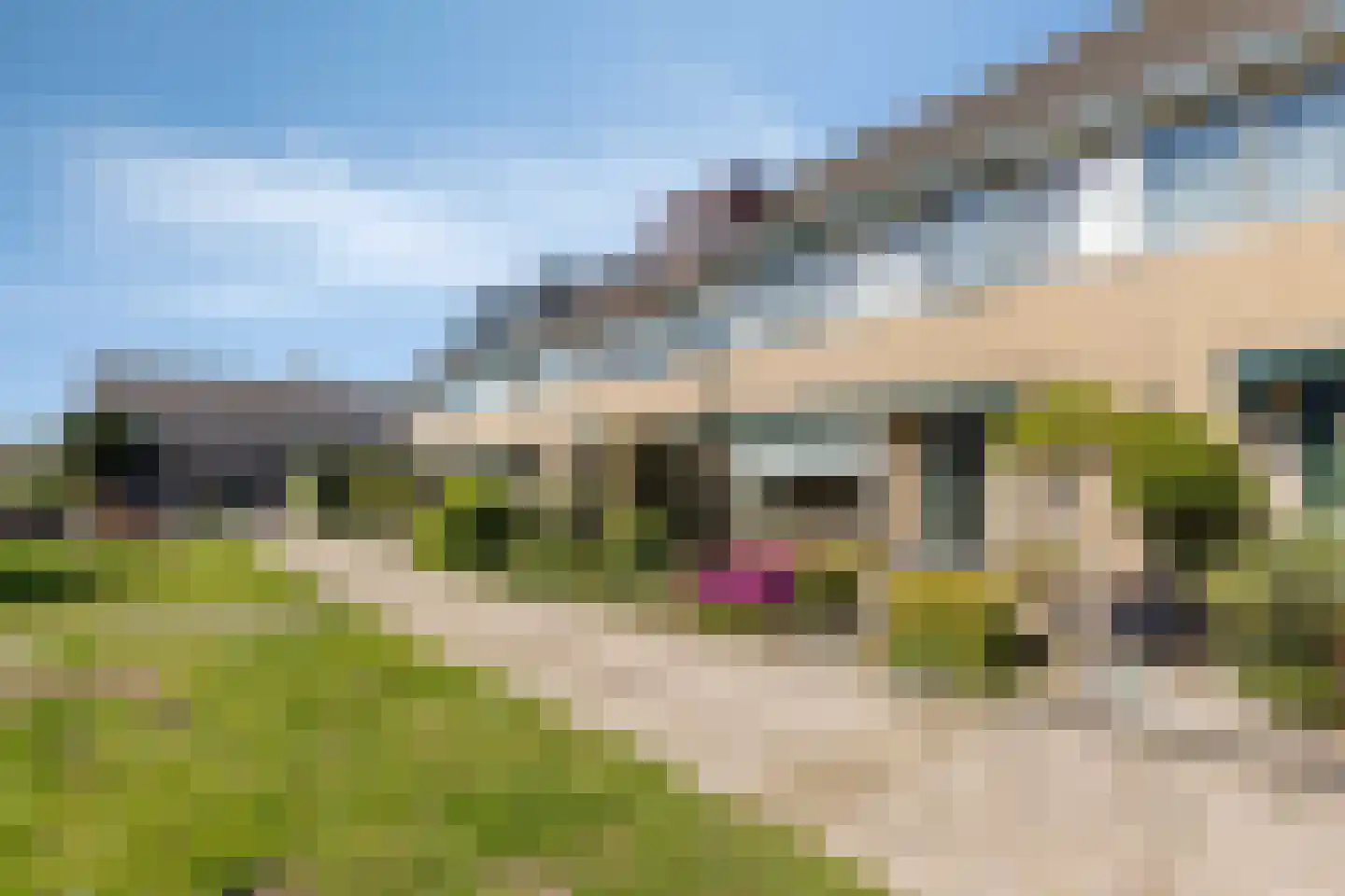 Weegbree 79 Krimpen aan den IJssel thumbnail 34