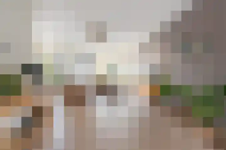 Weegbree 8 Oud Gastel thumbnail 13