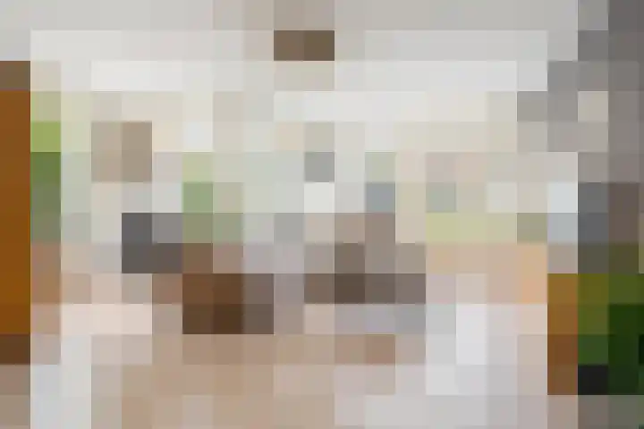 Weegbree 8 Oud Gastel thumbnail 14