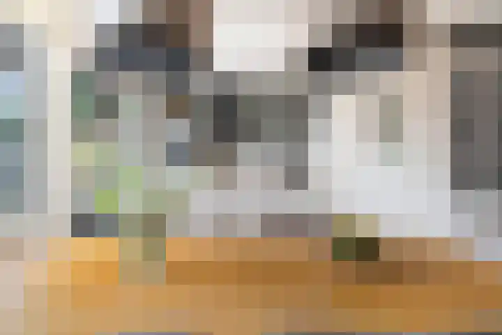 Weegbree 8 Oud Gastel thumbnail 20