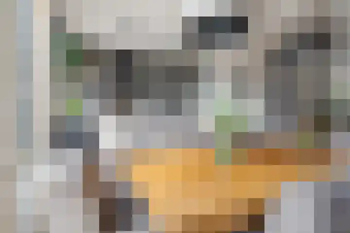 Weegbree 8 Oud Gastel thumbnail 21