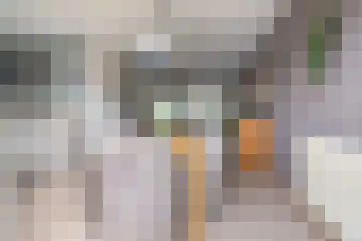 Weegbree 8 Oud Gastel thumbnail 24