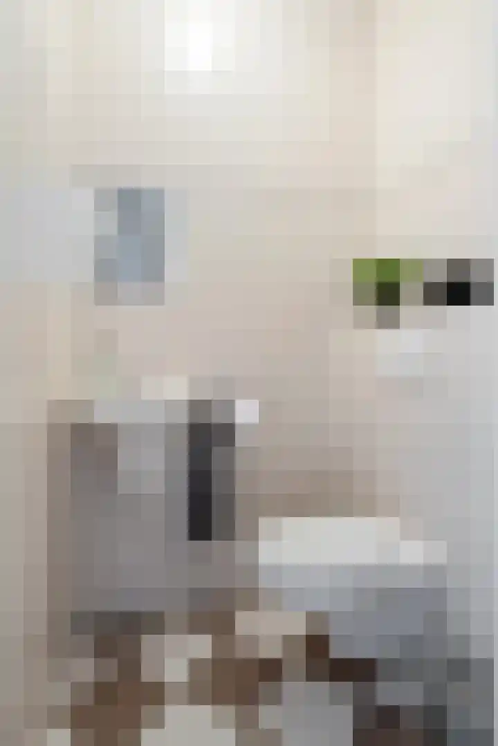 Weegbree 8 Oud Gastel thumbnail 26