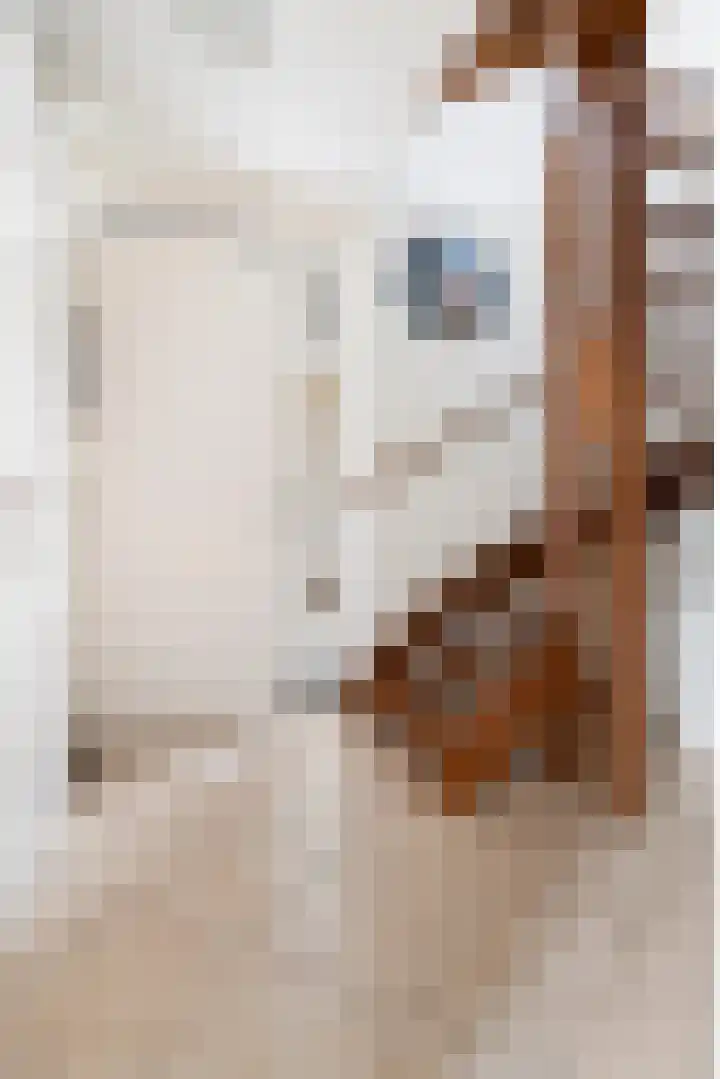 Weegbree 8 Oud Gastel thumbnail 27