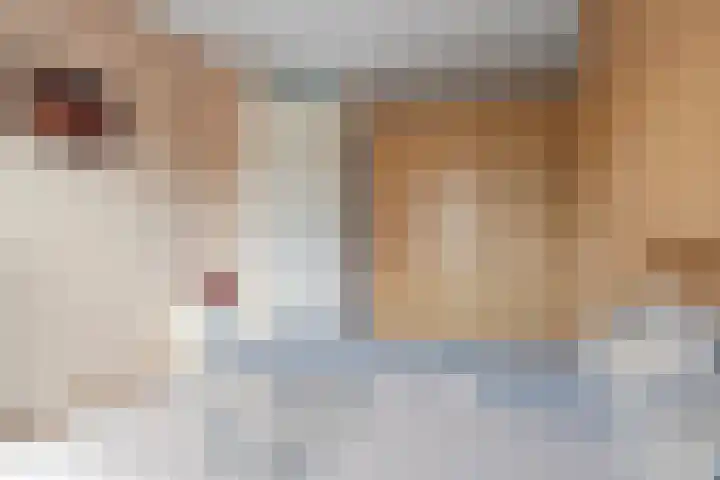 Weegbree 8 Oud Gastel thumbnail 30