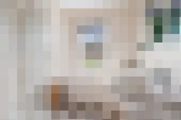 Weegbree 8 Oud Gastel thumbnail 32