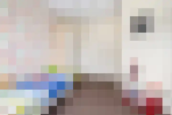 Weegbree 8 Oud Gastel thumbnail 37
