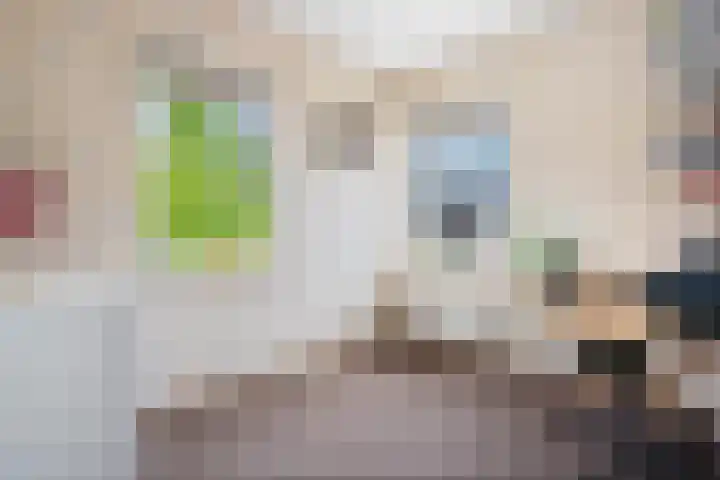 Weegbree 8 Oud Gastel thumbnail 38