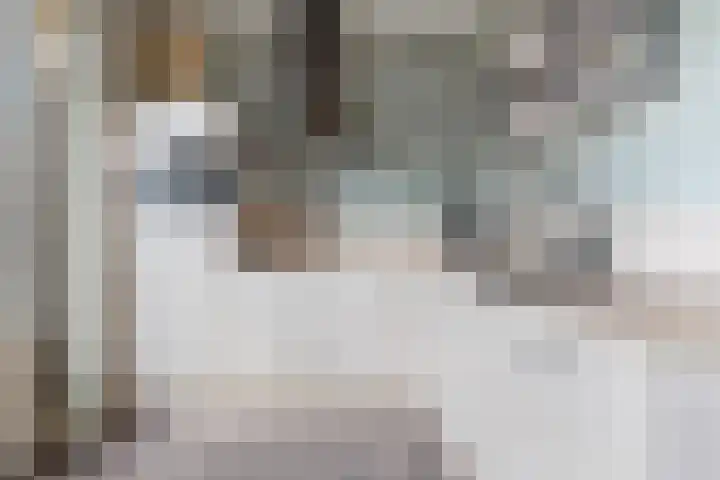 Weegbree 8 Oud Gastel thumbnail 4