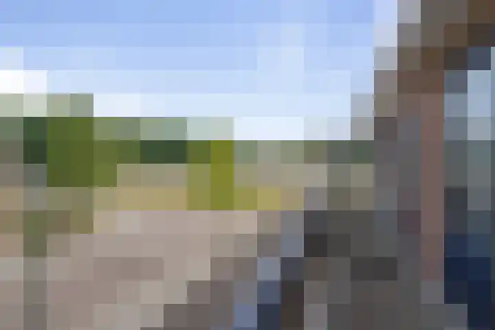 Weegbree 8 Oud Gastel thumbnail 44
