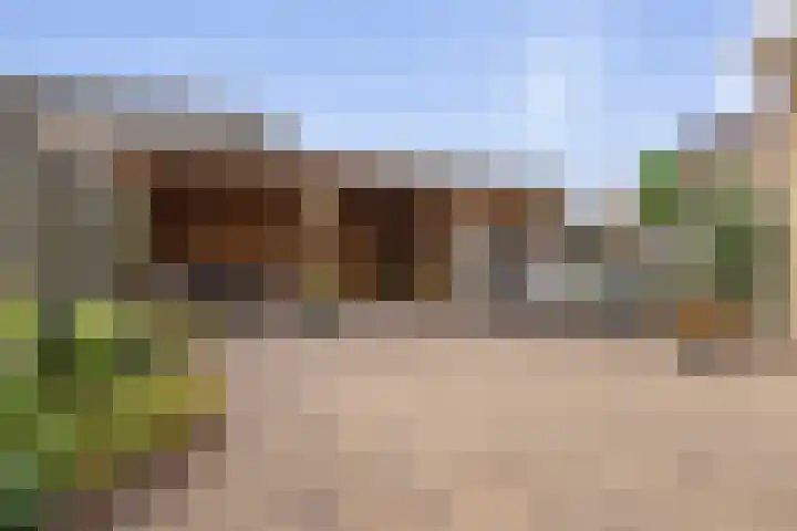 Weegbree 8 Oud Gastel thumbnail 51
