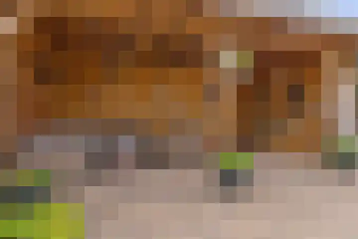 Weegbree 8 Oud Gastel thumbnail 53