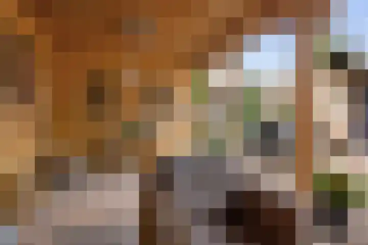 Weegbree 8 Oud Gastel thumbnail 54