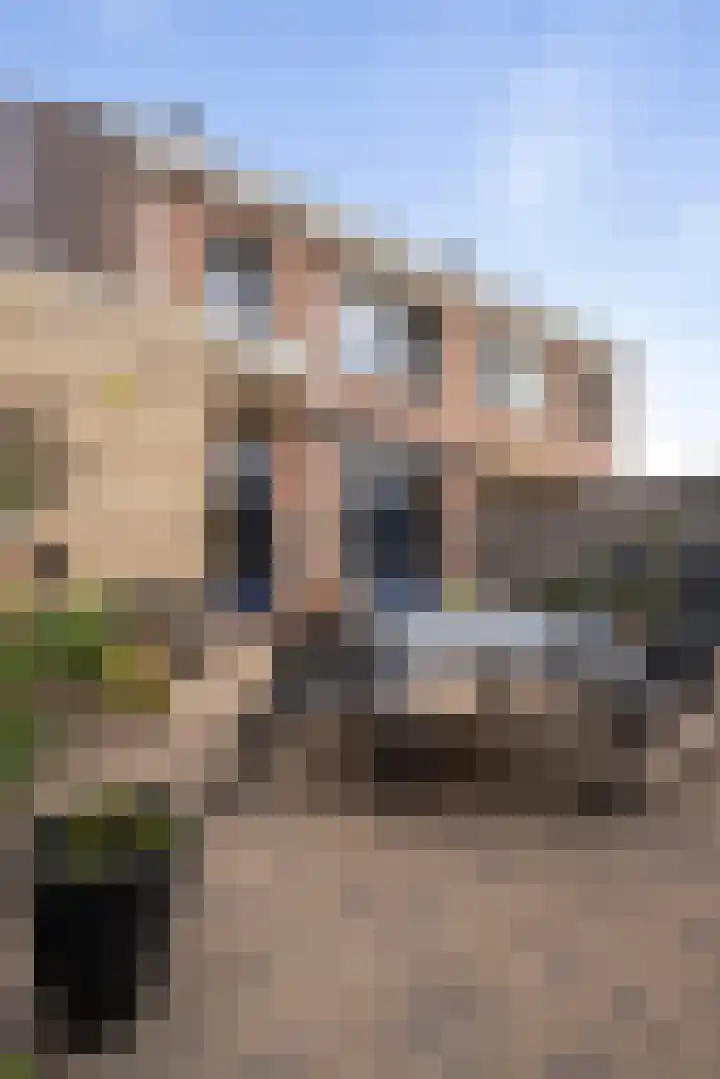 Weegbree 8 Oud Gastel thumbnail 58