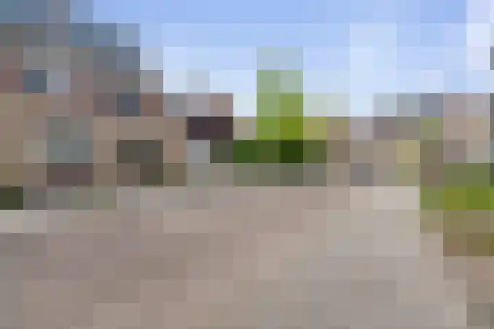Weegbree 8 Oud Gastel thumbnail 59