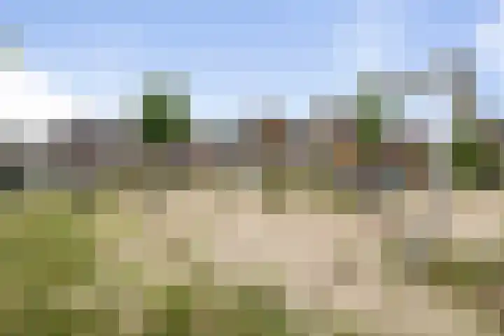Weegbree 8 Oud Gastel thumbnail 61