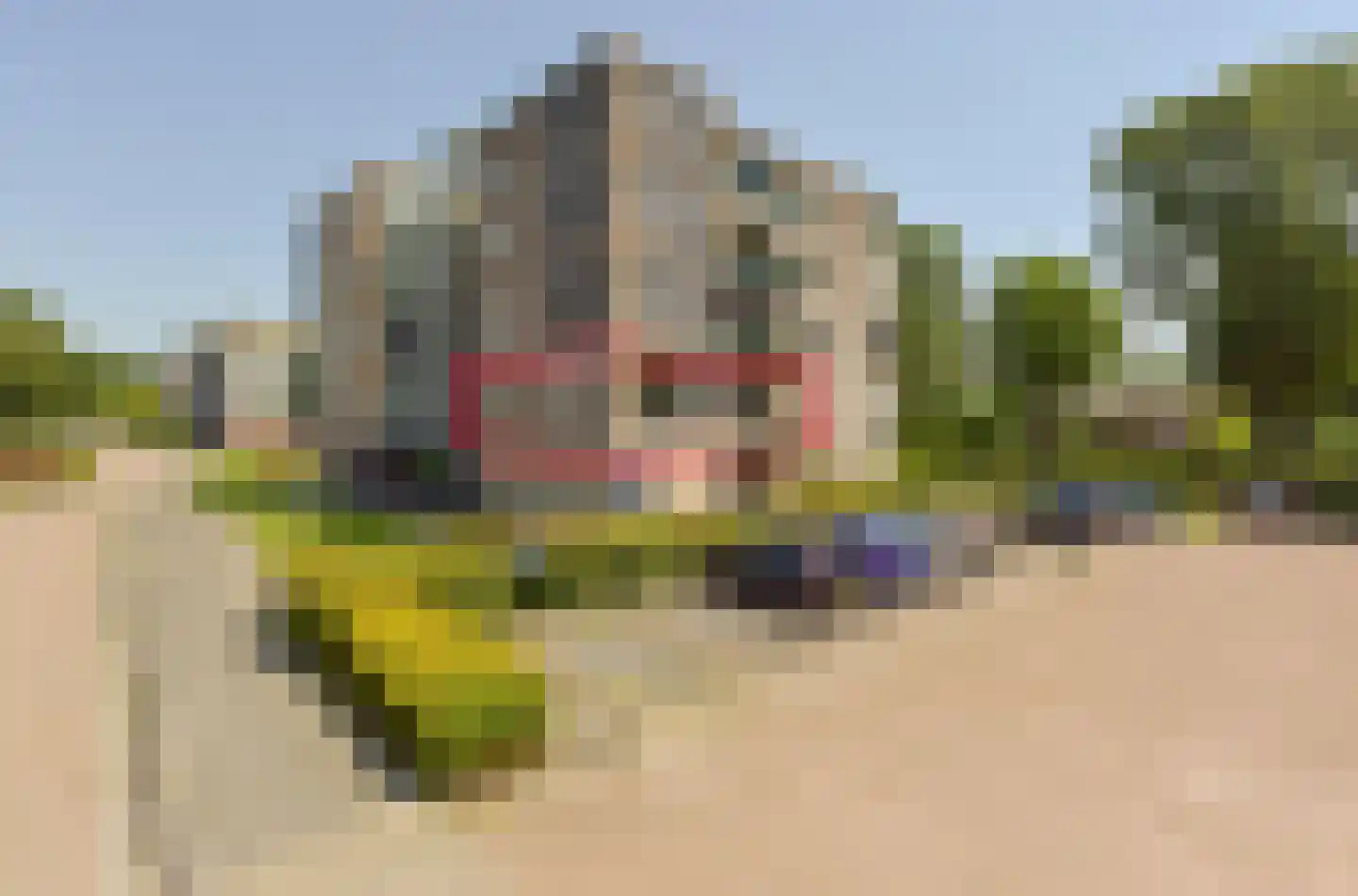 Weegbree 83 Mijdrecht