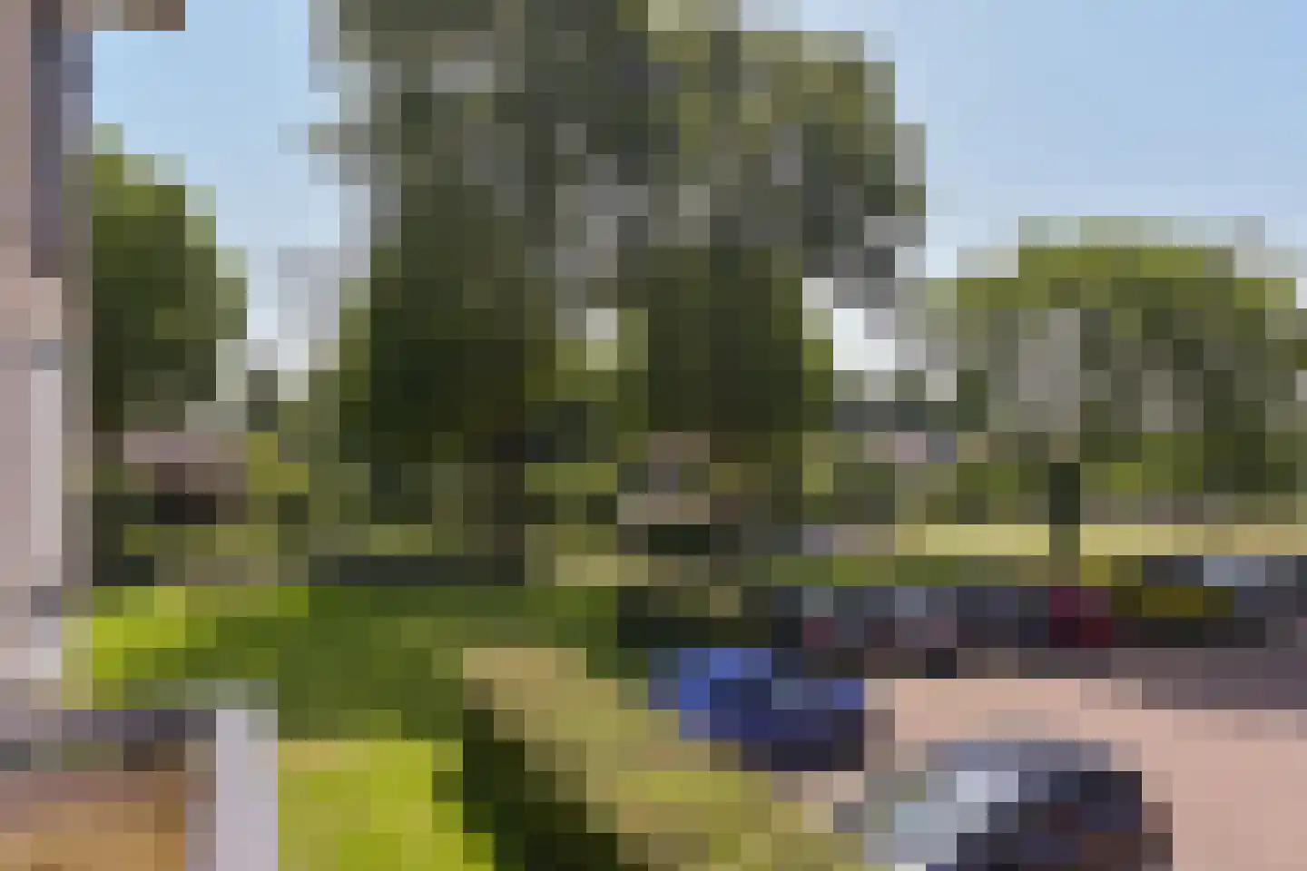 Weegbree 83 Mijdrecht thumbnail 13
