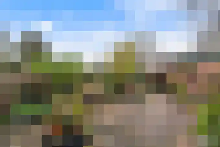 Weegbree 85 Krimpen aan den IJssel thumbnail 12