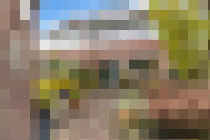 Weegbree 85 Krimpen aan den IJssel thumbnail 13