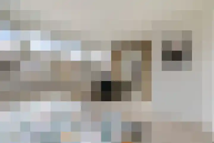 Weegbree 85 Krimpen aan den IJssel thumbnail 19