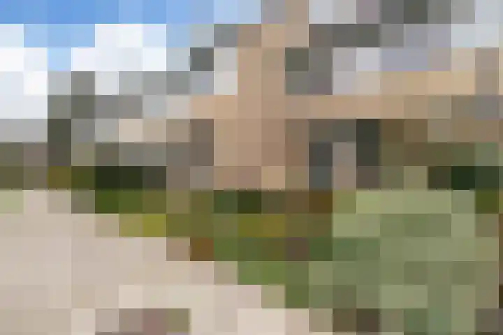 Weegbree 85 Krimpen aan den IJssel thumbnail 33