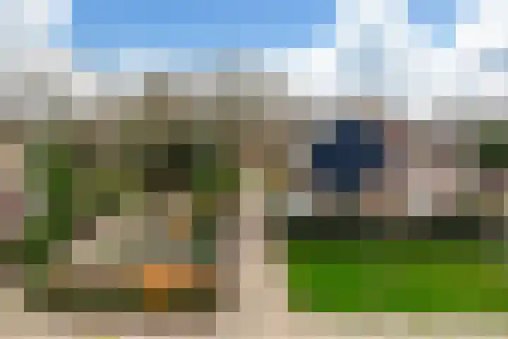 Weegbree 85 Krimpen aan den IJssel thumbnail 34