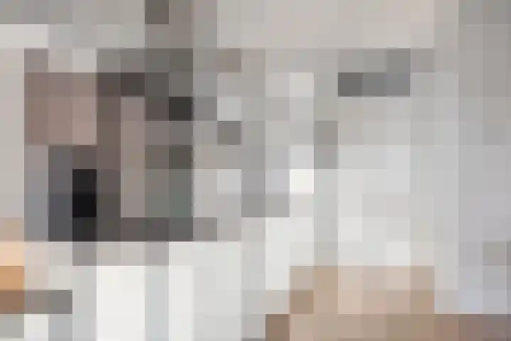 Weegbree 89 Pijnacker thumbnail 12