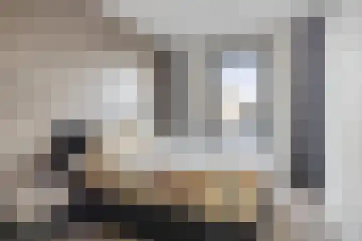 Weegbree 89 Pijnacker thumbnail 14