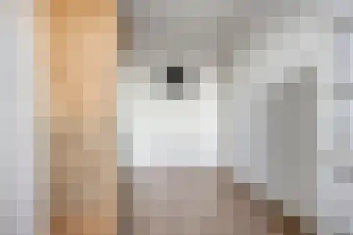 Weegbree 89 Pijnacker thumbnail 16