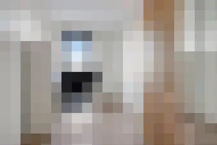 Weegbree 89 Pijnacker thumbnail 17