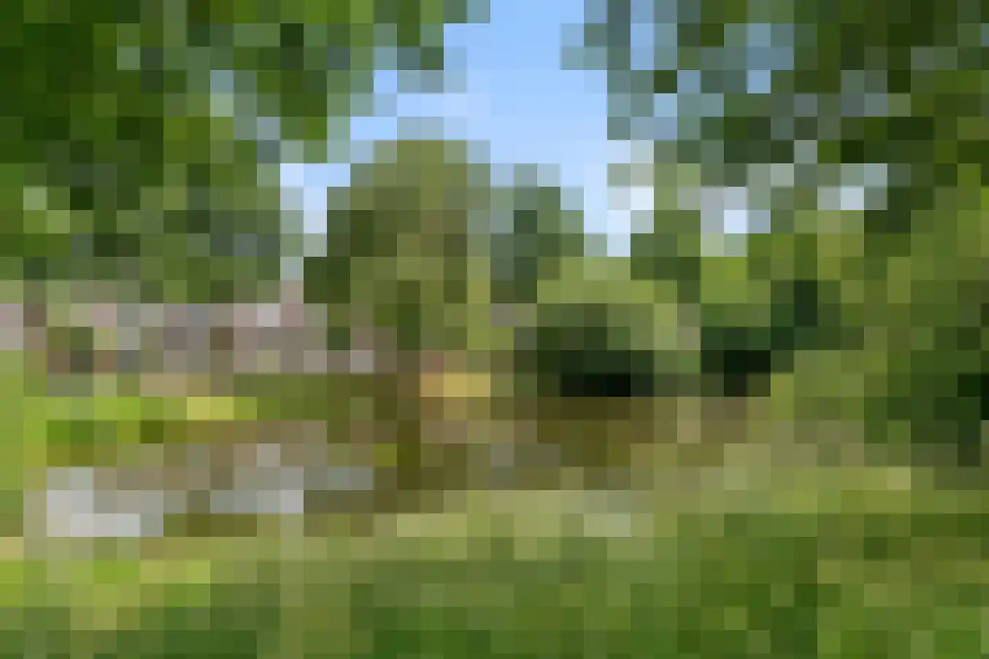 Weegbree 9 Bennekom thumbnail 10
