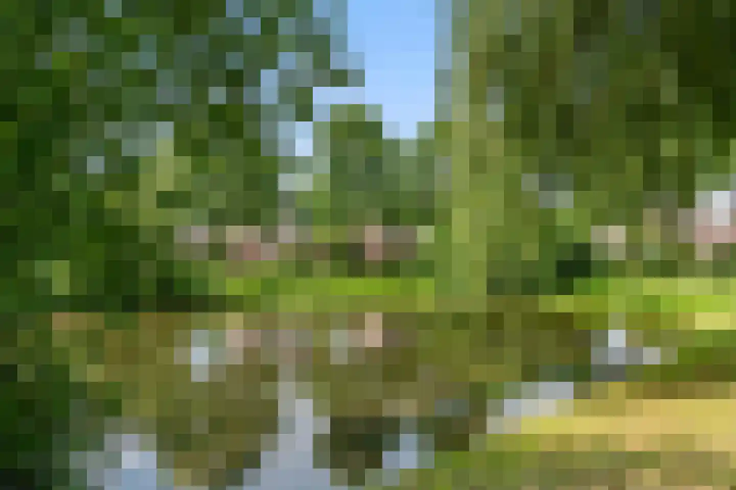 Weegbree 9 Bennekom thumbnail 11