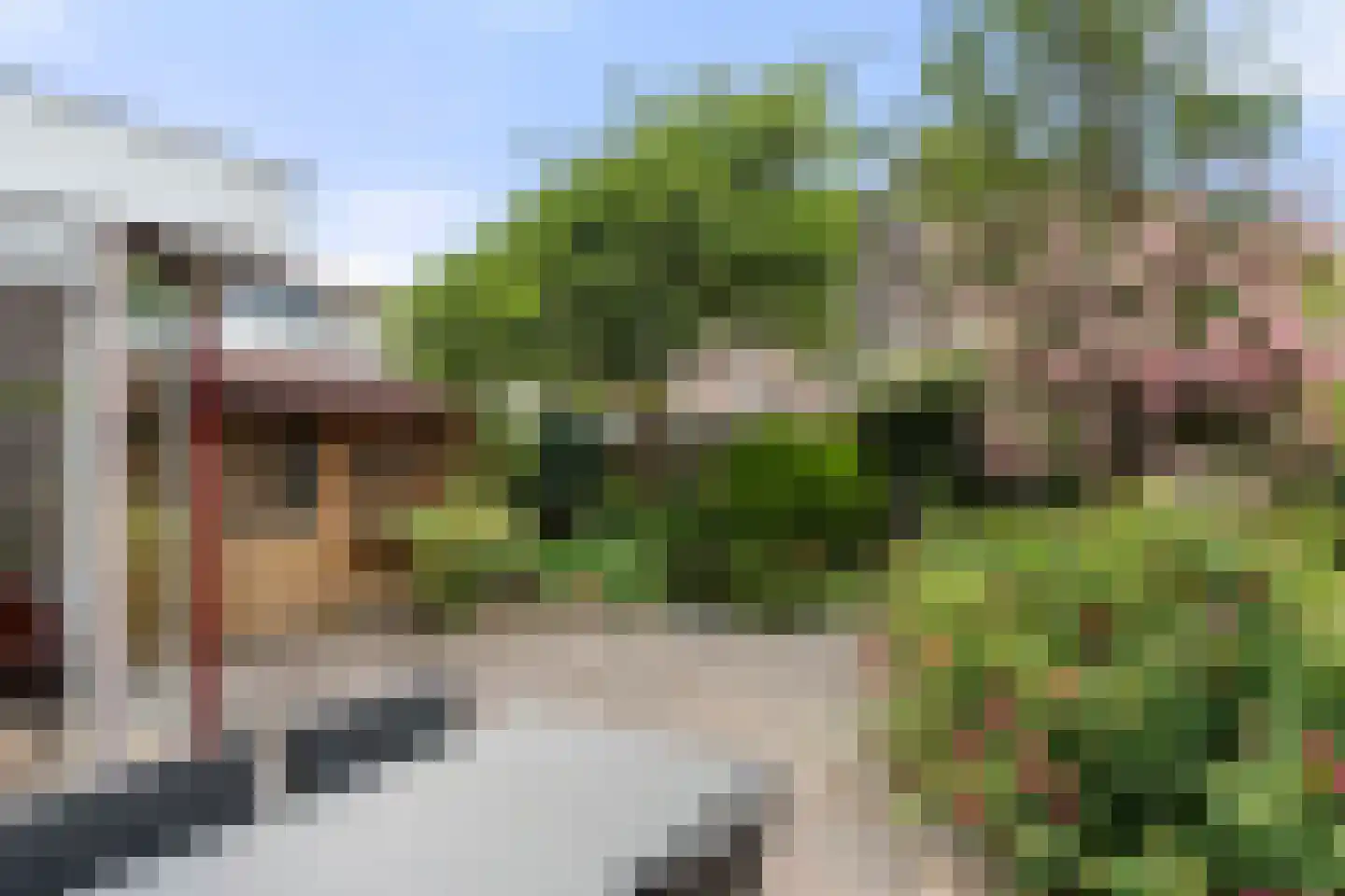 Weegbree 9 Bennekom thumbnail 14
