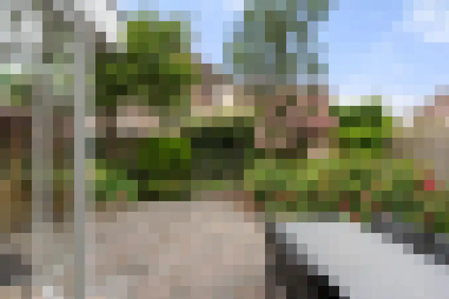 Weegbree 9 Bennekom thumbnail 15
