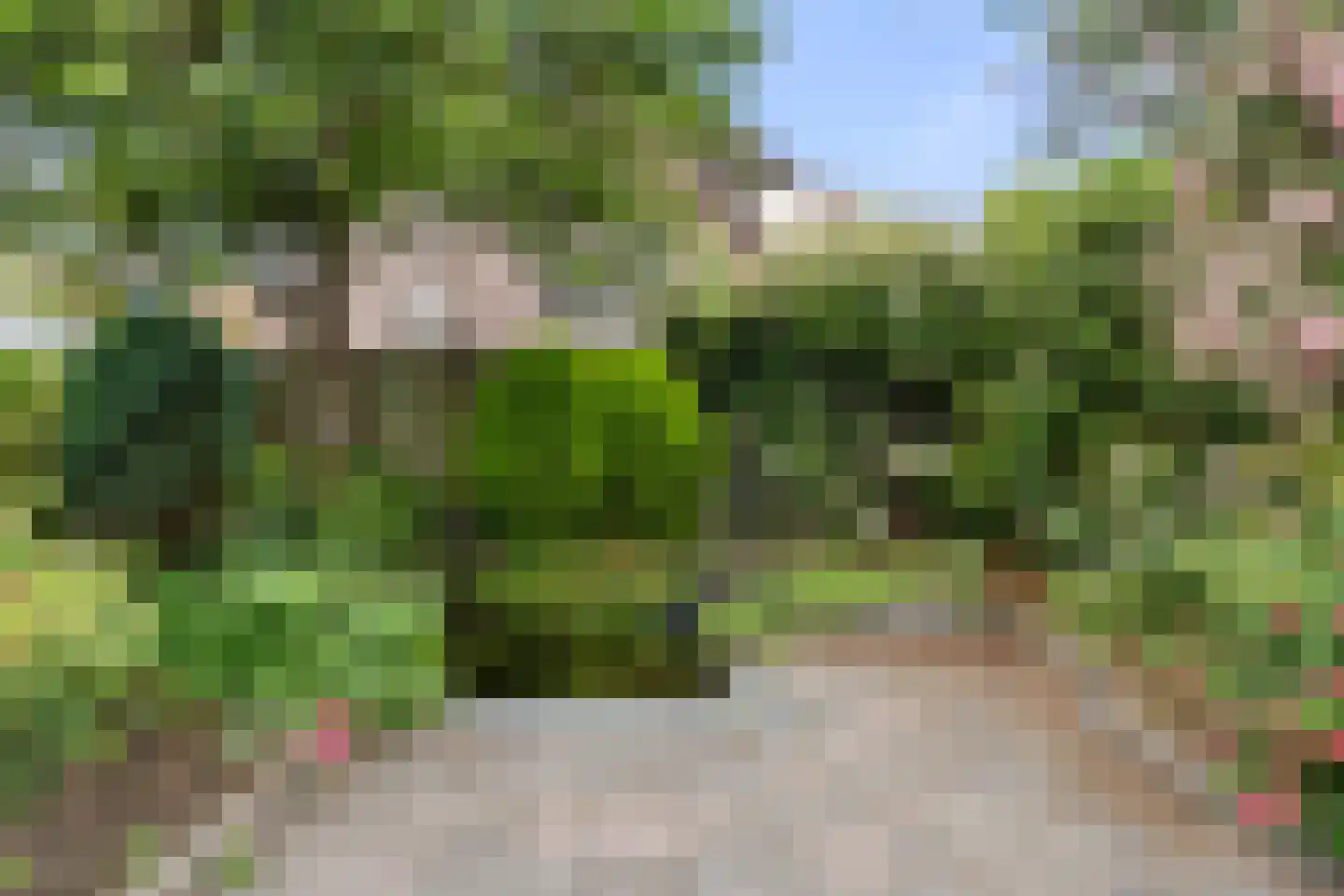 Weegbree 9 Bennekom thumbnail 16
