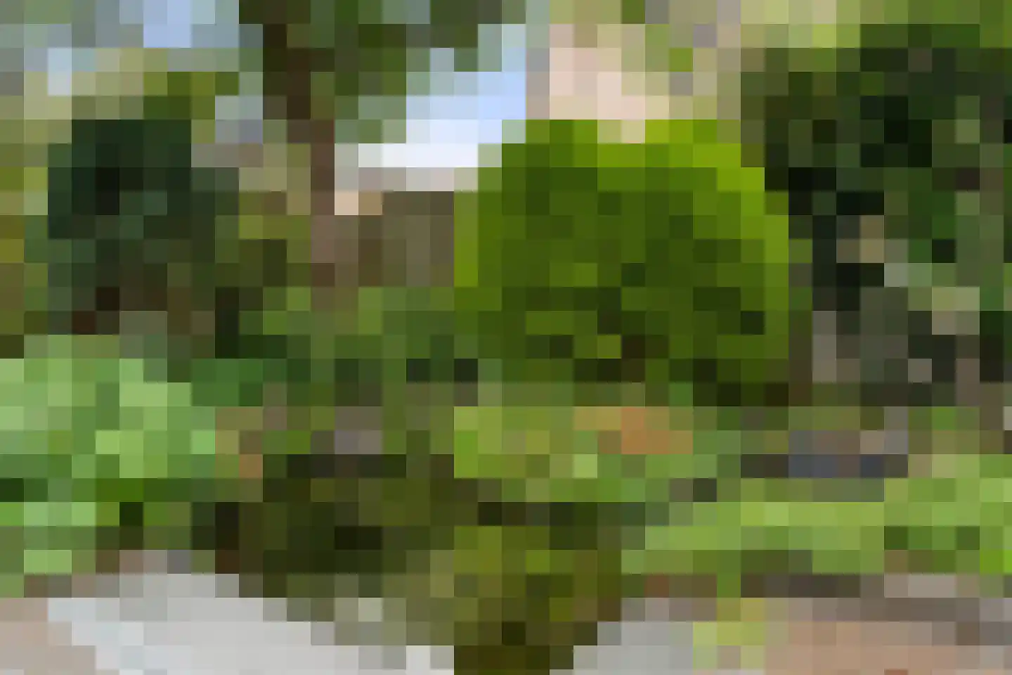 Weegbree 9 Bennekom thumbnail 17