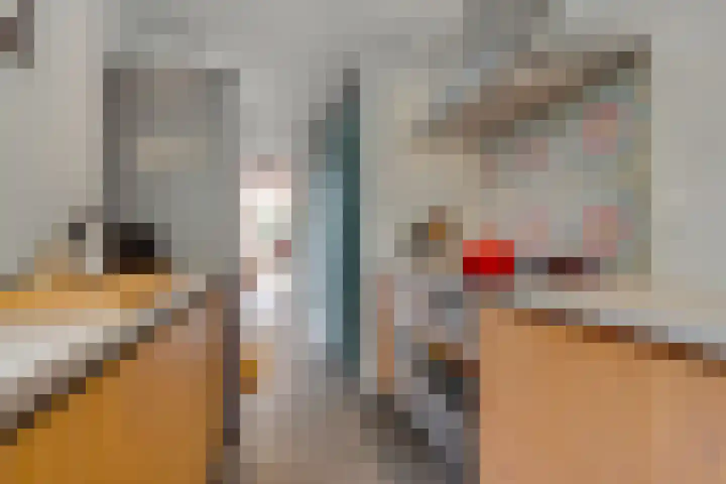 Weegbree 9 Huizen thumbnail 12