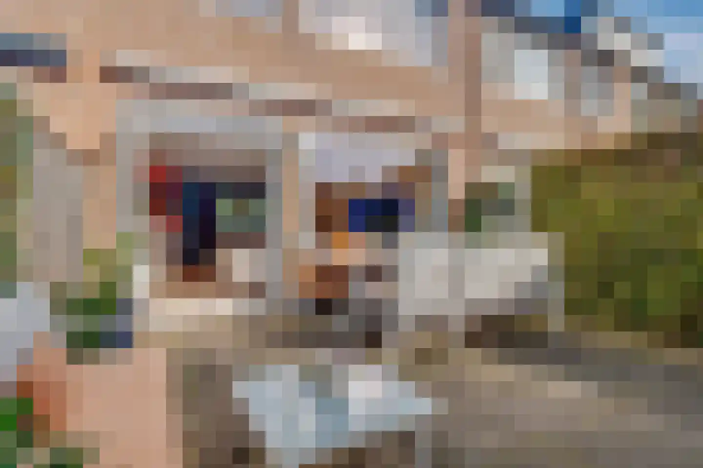 Weegbree 9 Huizen thumbnail 15
