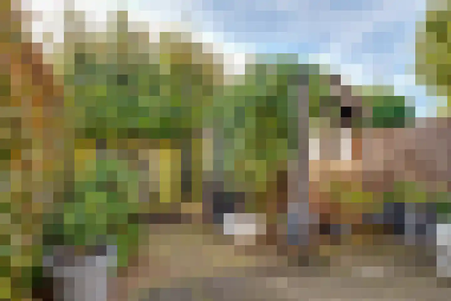 Weegbree 9 Huizen thumbnail 16