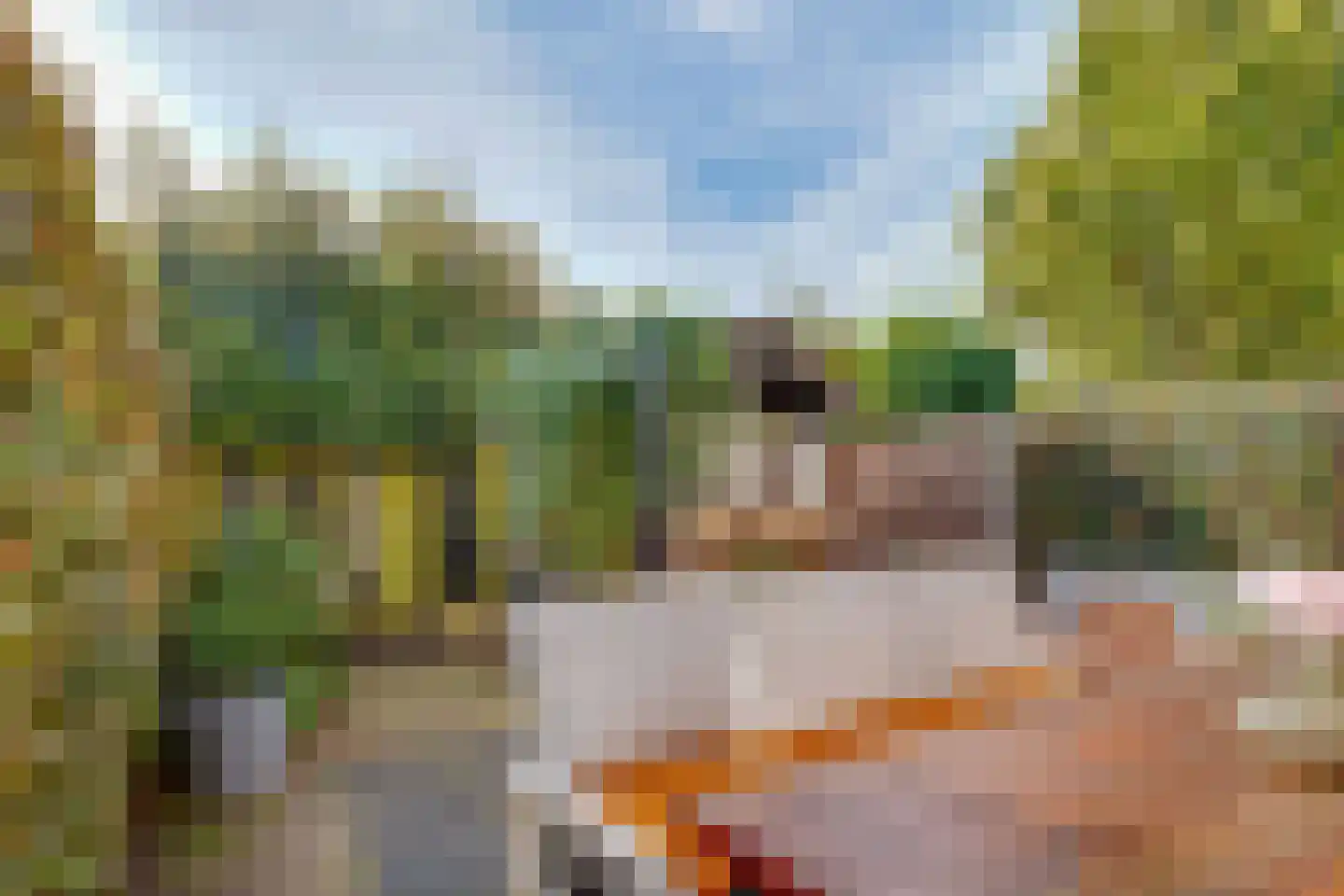 Weegbree 9 Huizen thumbnail 17