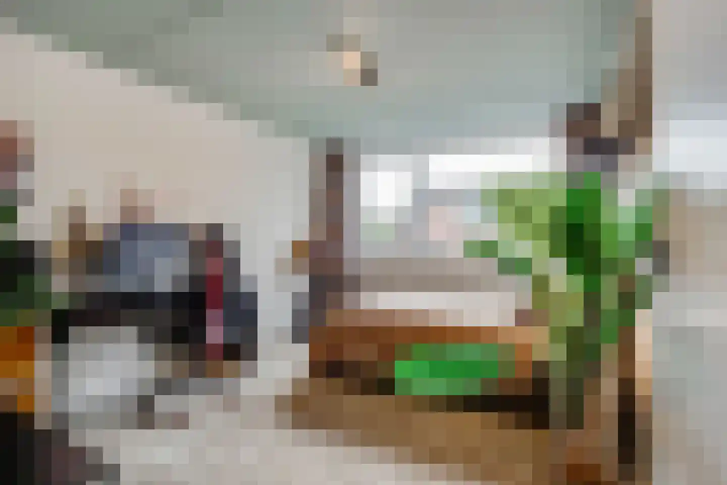 Weegbree 9 Huizen thumbnail 27