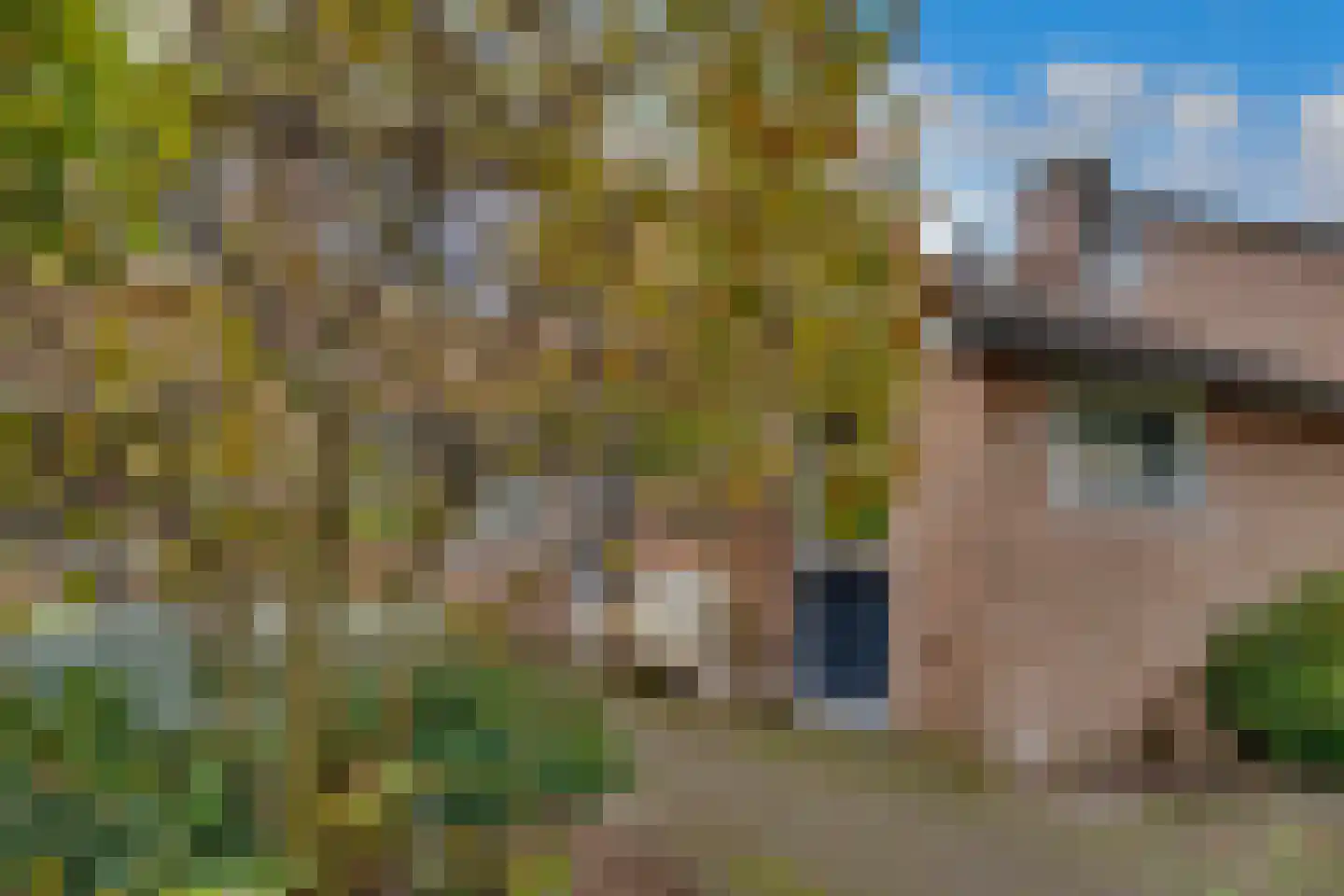 Weegbree 9 Huizen foto 3