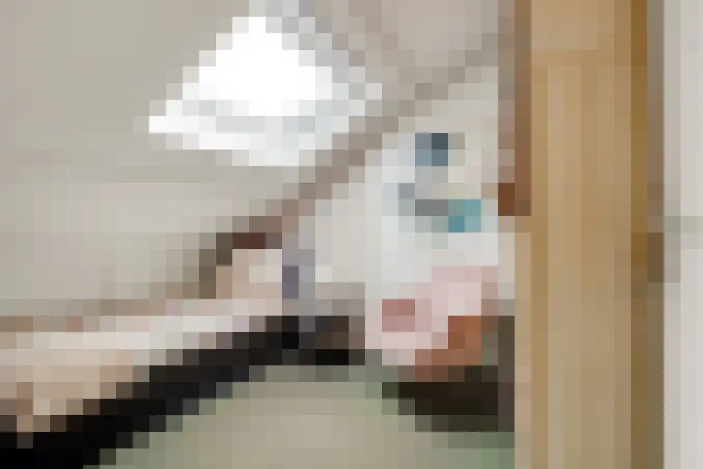 Weegbree 9 Huizen thumbnail 31